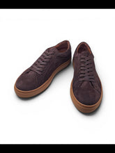 The Dark Brown