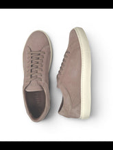 The Taupe